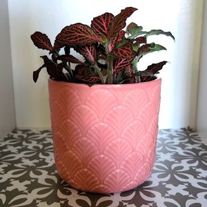 Ceramic planter